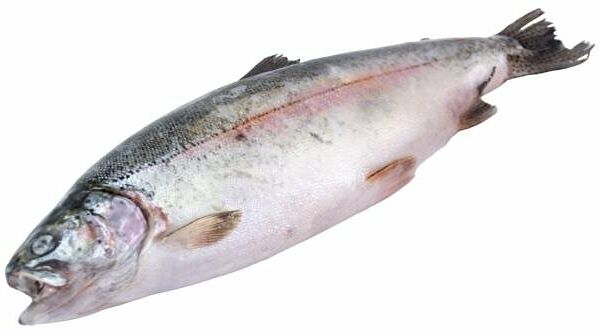 Форель радужная замороженная непотрошеная с головой (0,5 - 0,9 кг), 1 упаковка ~ 0,7 кг