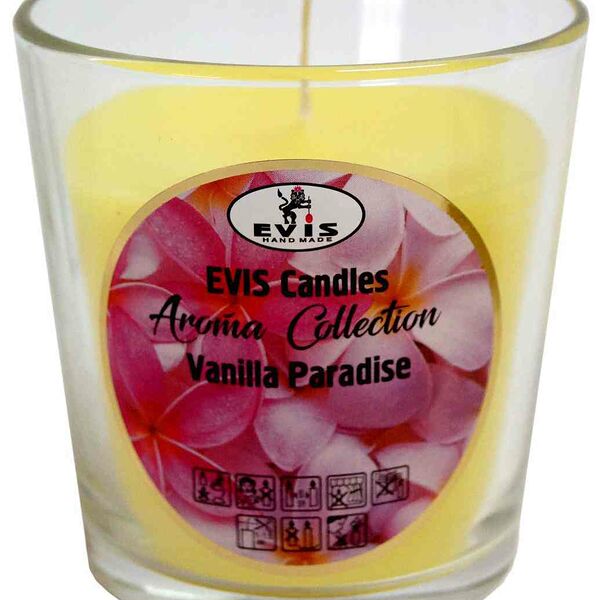 Свеча ароматизированная Evis Vanilla Paradise в стакане, 8,5 см