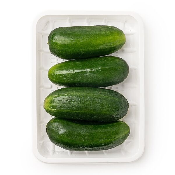 Огурцы Бакинские