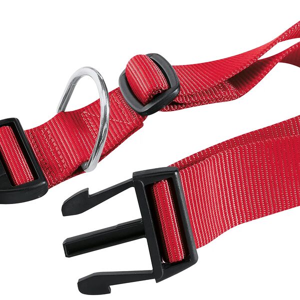 CLUB Ошейник для собак мелких пород красный 25х1 см