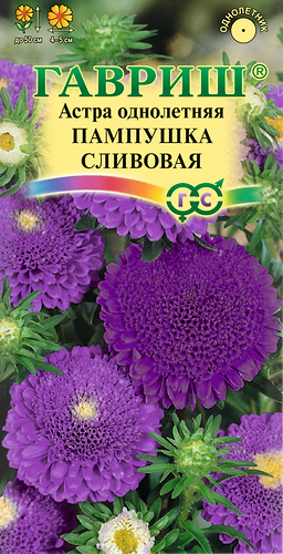 Семена ГАВРИШ Астра однолетняя помпонная Пампушка сливовая, Арт. 10006544, 0,3г