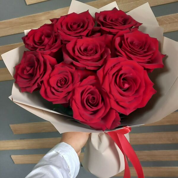 9 крупных красных роз!!!