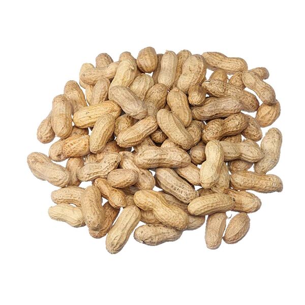 Арахис в скорлупе 300гр Жареный СТМ пакет