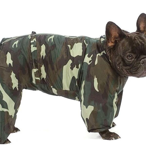 Комбинезон теплый для собак Французский бульдог 2XL камуфляж (мальчик)