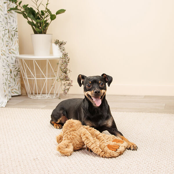 Игрушка для собак Щенок, 30 см