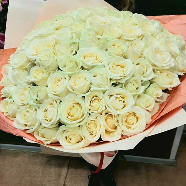 51 белая роза