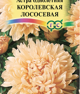 Семена ГАВРИШ Астра пионовидная однолетняя Королевская лососевая, Арт. 10006976, 0,3г