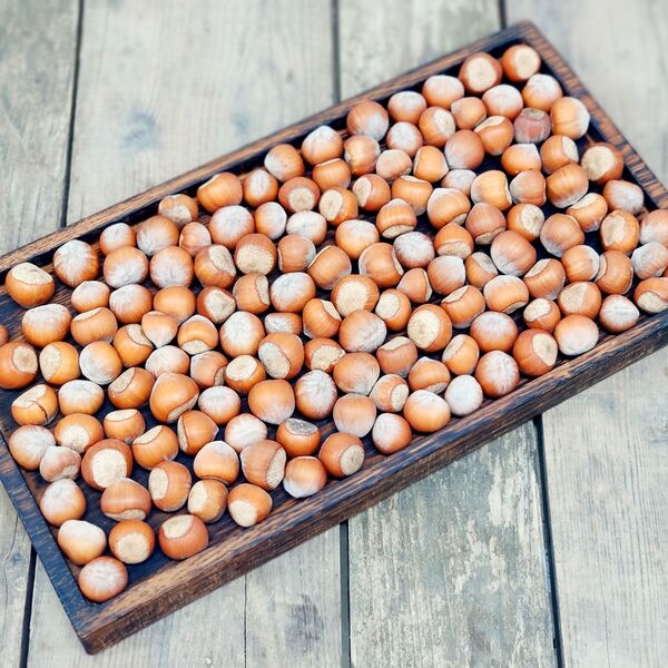 Орех Фундук (в скорлупе)