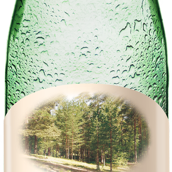 Вода минеральная Завьяловская природная лечебно-столовая газированная