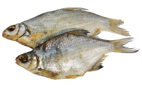 Густера вяленая