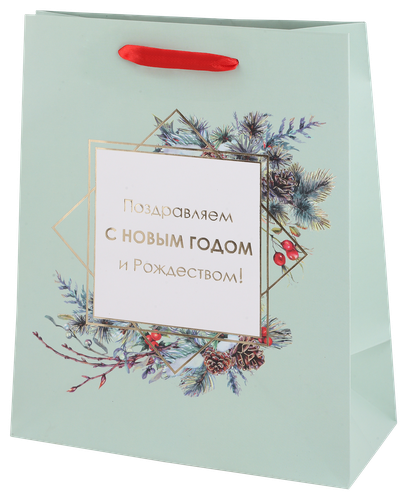 

Пакет подарочный 1 шт, в ассортименте