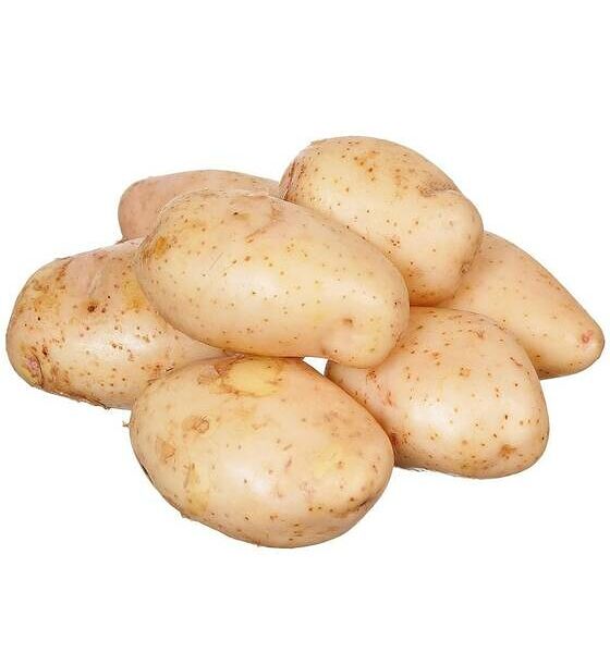 Картошка  Азербайджан молодая