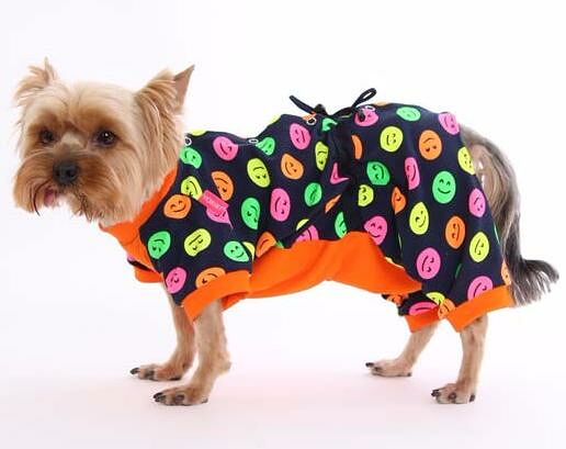 Комбинезон для собак Yoriki Смайлик S синий (девочка)