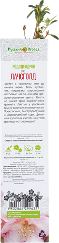 

Саженец РУССКИЙ ОГОРОД Рододендрон, в ассортименте