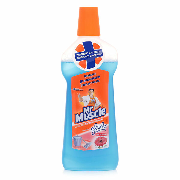 Средство для уборки дома Mr.Muscle После дождя