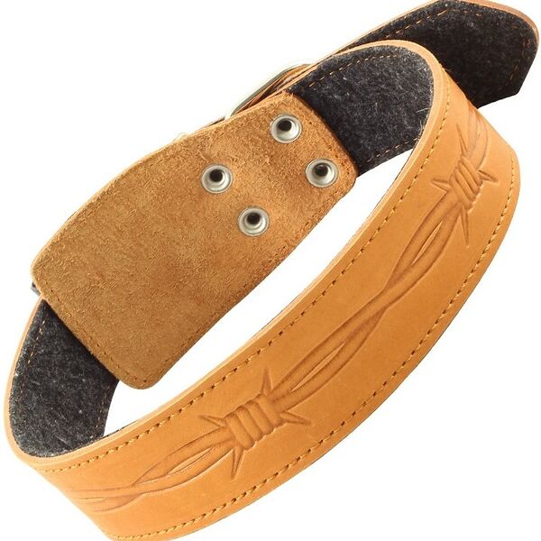 Гамма ошейник кожаный на синтепоне с тиснением 45мм*780мм