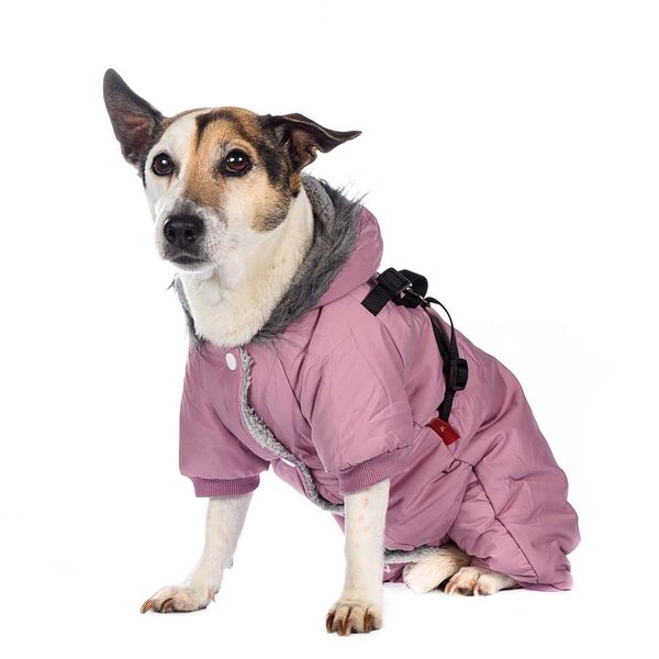 Комбинезон со шлейкой и капюшоном для собак 3XL фиолетовый (девочка)