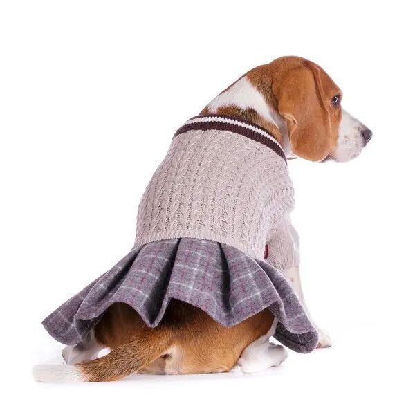 Свитер с юбкой для собак 41см 2XL серый (унисекс)