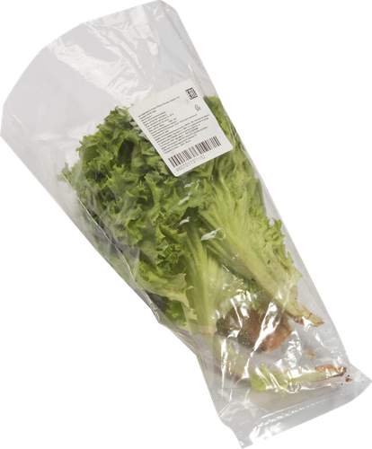 

Салат свежий Лолло Бионда 150 г