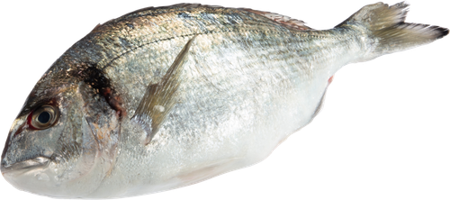 

Дорадо Лента Fresh вес