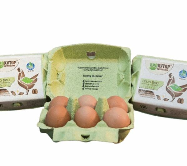 Яйцо куриное Хутор Петровский Био пищевое столовое, 6шт