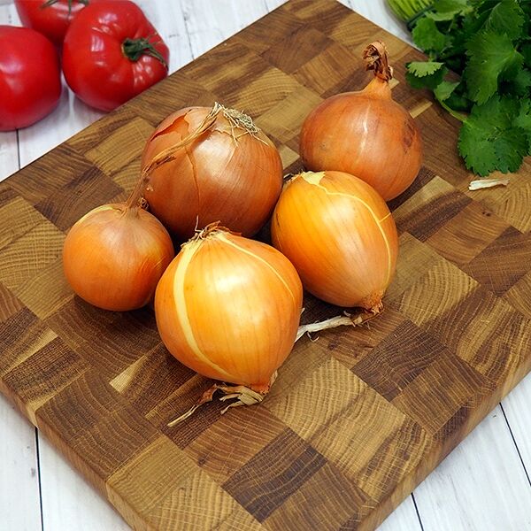 Лук репчатый