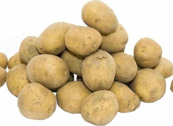 Картофель в сетке