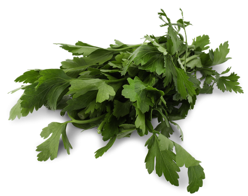 

Петрушка Лента свежая, 50 г