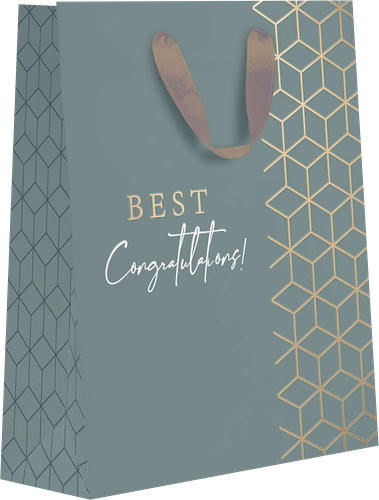 Пакет подарочный Diplomat, 22,7х18х10см, с тиснением Арт. MT, в ассортименте