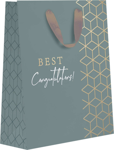 

Пакет подарочный Diplomat, 22,7х18х10см, с тиснением Арт. MT, в ассортименте