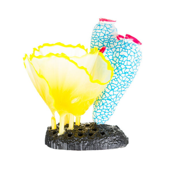 Асцидии с салатом-латуком в цвете 11х8х12см