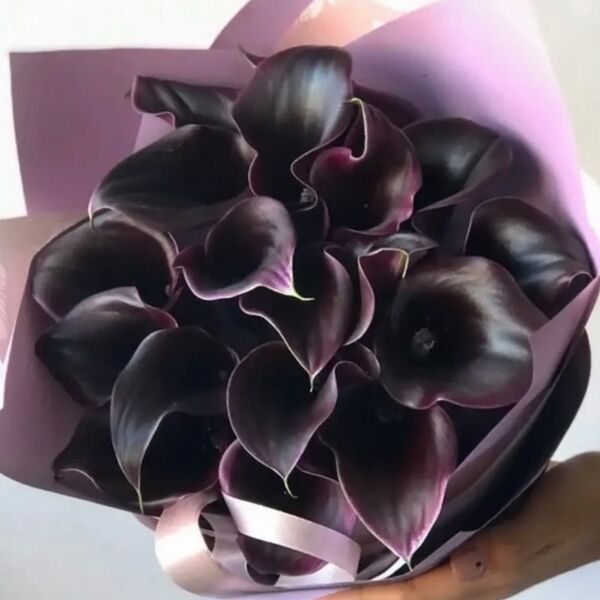 Букет Чёрный лебедь