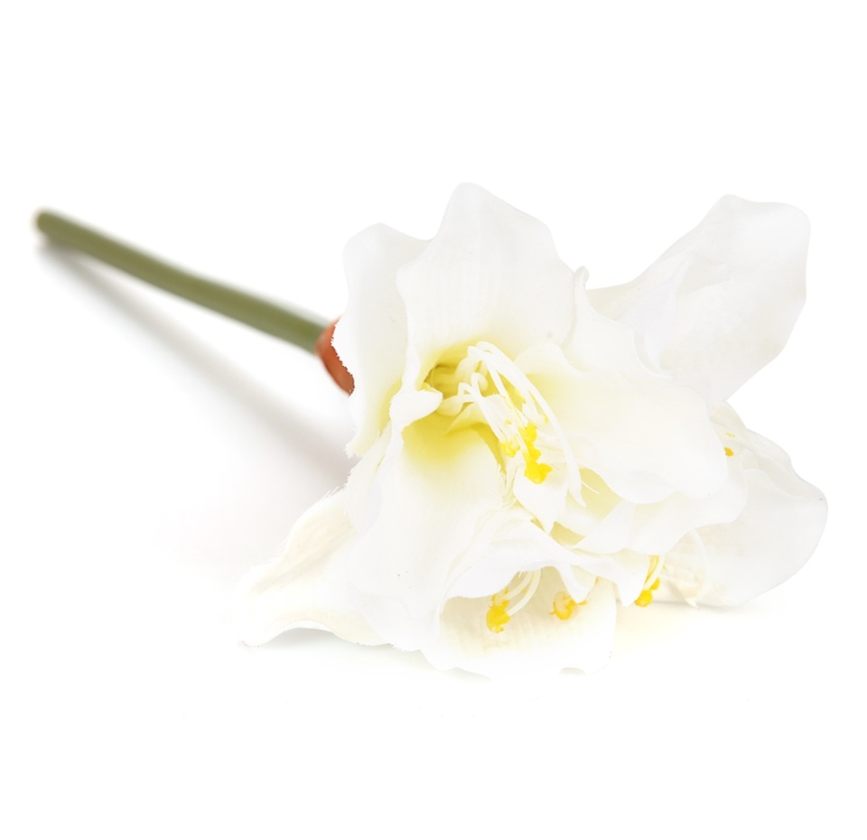 

Ветка Амариллиса Fiebiger Floristik белая 37 см