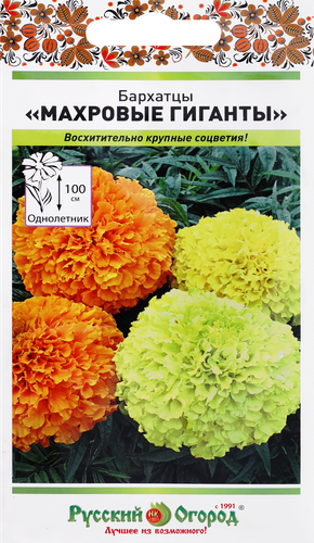 

Цветы бархатцы