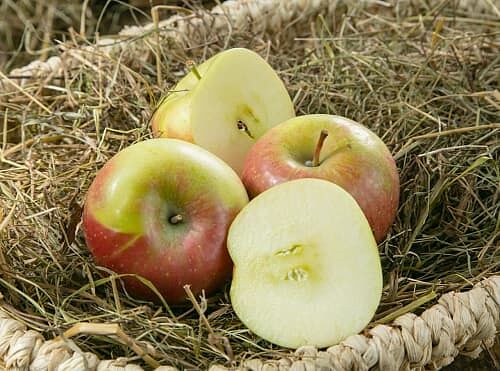 Яблоки Крымские