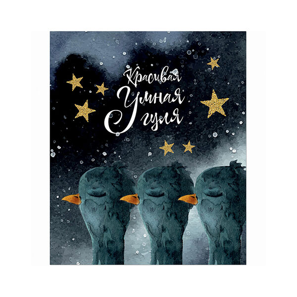 Тетрадь Странные голуби  48л скрепка 3217