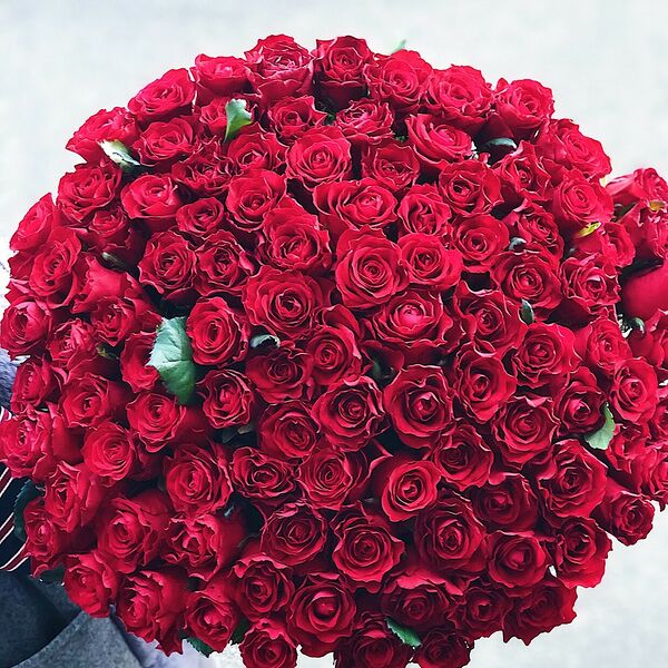 101 красная роза