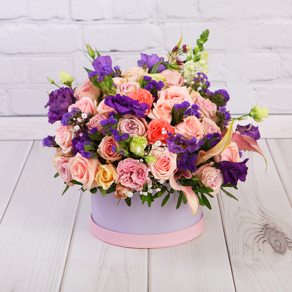 Композиция Софи Лорен