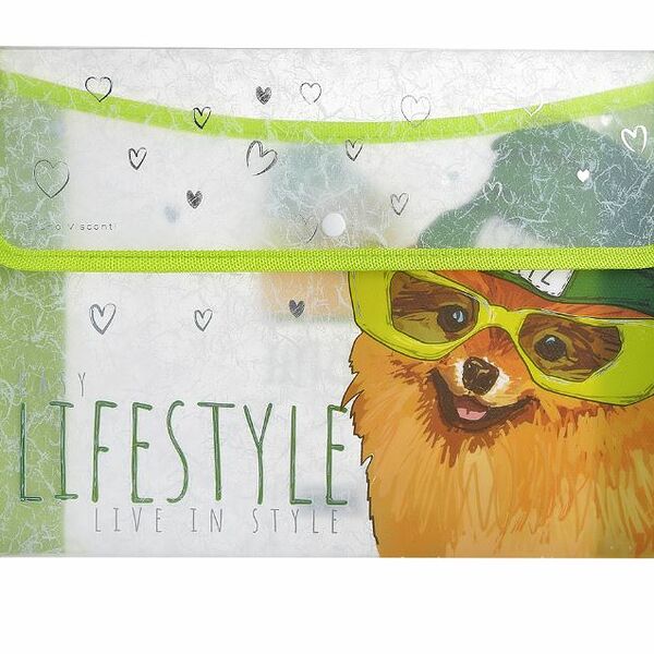 Папка Bruno Visconti А4 Псы на стиле