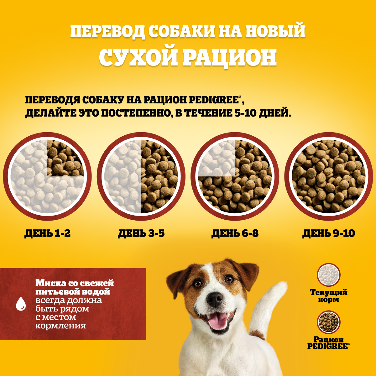 

Сухой корм Pedigree для собак маленьких пород, с говядиной 2.2 кг
