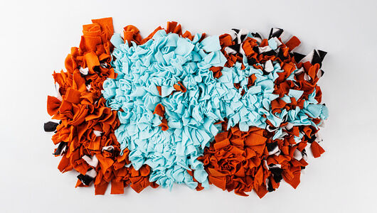 Нюхательный коврик для животных