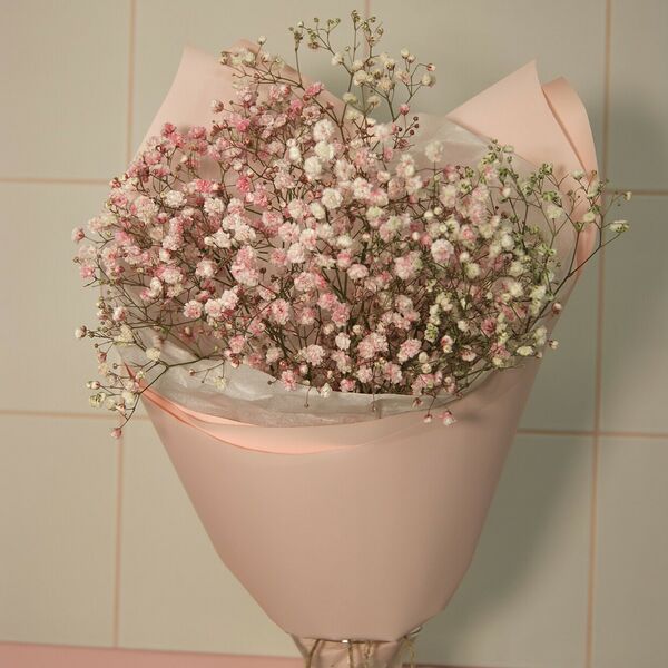 Букет розовой гипсофилы