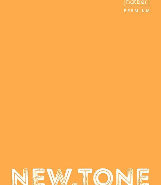 Папка для документов Hatber NEWtone Neon Оранж А4 на 4-х кольцах