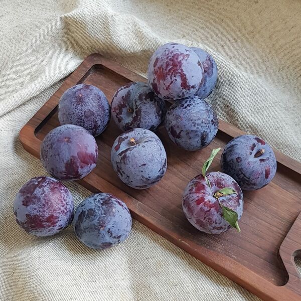 Слива крупная (Danilovskymarket)