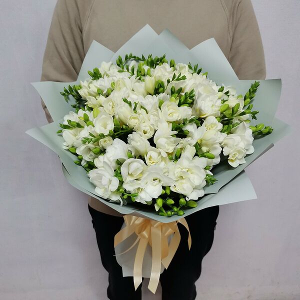 Букет из 51 белой фрезии