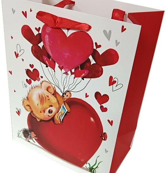 Подарочный пакет Veld Co 17.8*22.9*9.8см в ассортименте