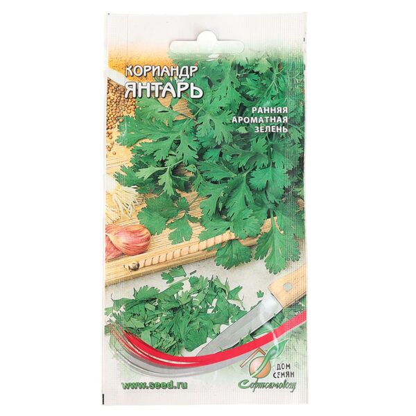 Семена кориандр Янтарь