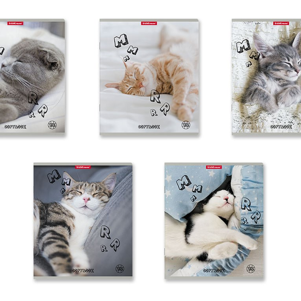 Тетрадь Erich Krause Relaxed клетка, 48 листов 1шт в ассортименте