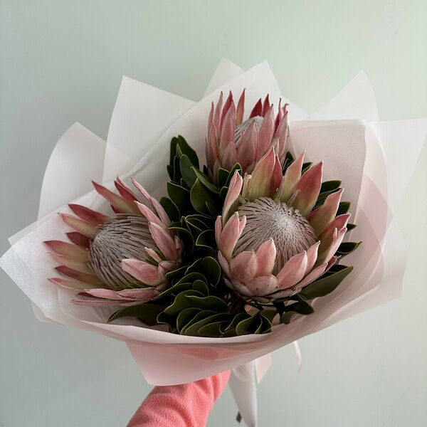 Букет из трёх протей