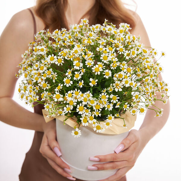 Композиция 